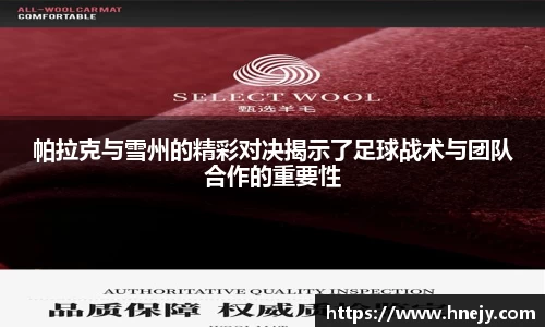 智博19有限公司