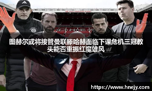 智博19有限公司