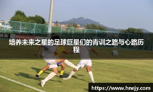 智博19有限公司